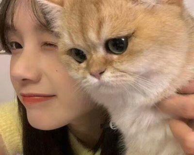 探寻女生喜欢猫的性格之谜（从猫咪眼中看透女生内心的柔软一面）