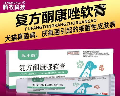 狗狗皮炎的治疗方法（选择合适的药物是关键）