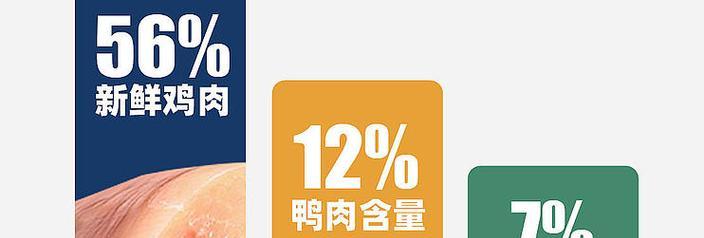 替代狗粮的健康饮食选择（以健康为导向，给宠物提供更好的食物）