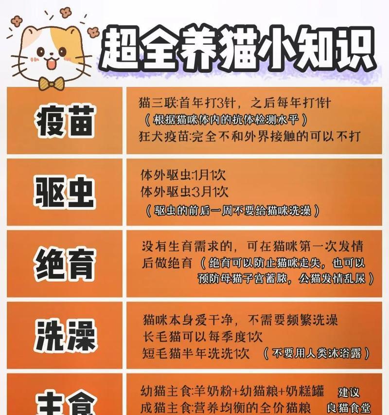 养猫必备的疫苗和养护措施（如何保证猫咪的健康和幸福？）
