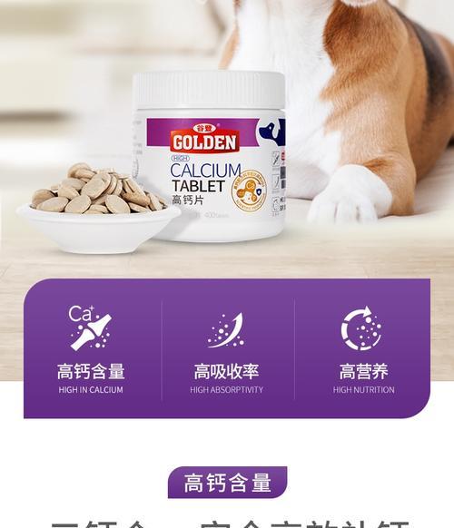 如何提高狗狗的钙吸收能力？（探索促进狗狗钙吸收的方法和技巧）