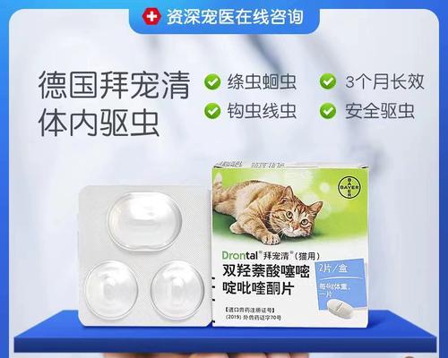 幼猫第一次驱虫指南（如何为幼猫提供有效的驱虫保护措施）