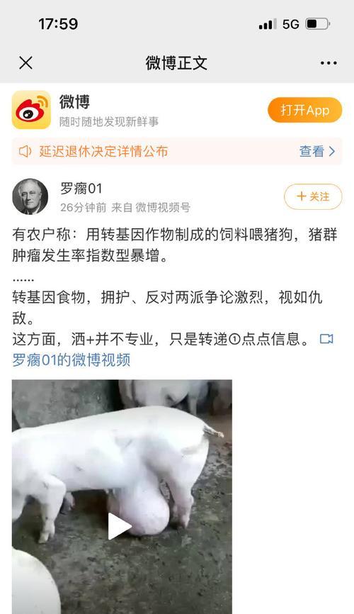 狗的疝气（狗的腹股沟疝气——一种常见但需要及时处理的疾病）