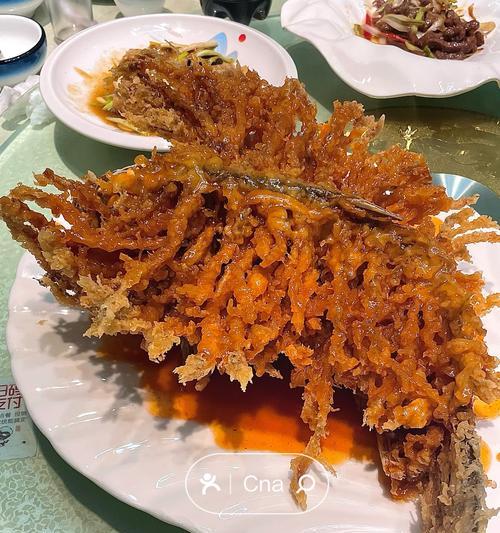 三个月的金毛营养菜肴指南（为你的宝贝狗狗提供均衡的饮食搭配）