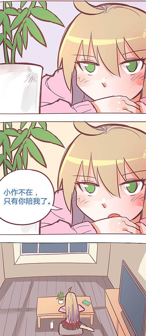 揭秘狗狗钱癣的种种模样（了解狗狗钱癣的关键点，守护宠物的健康）