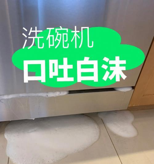 狗吐白沫是怎么回事？如何正确治疗？（了解狗吐白沫的原因和药物治疗方法）