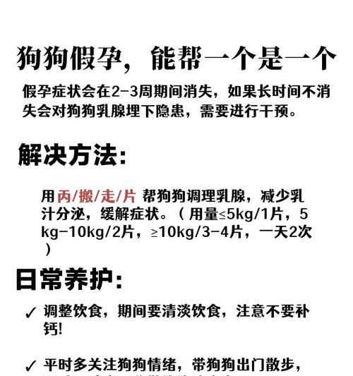 小狗怀孕的常见症状及处理方法（小狗怀孕，如何判断及照顾？）