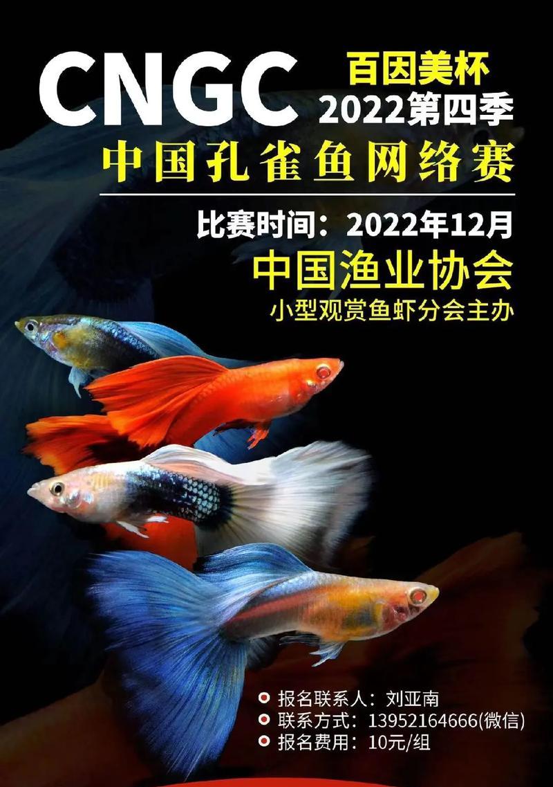孔雀鱼的理想食物（为您揭开孔雀鱼食谱的秘密）