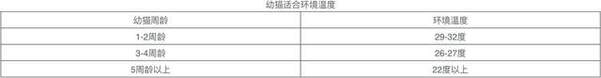 为什么猫的体温会降低？（探究猫体温低的原因及预防措施）