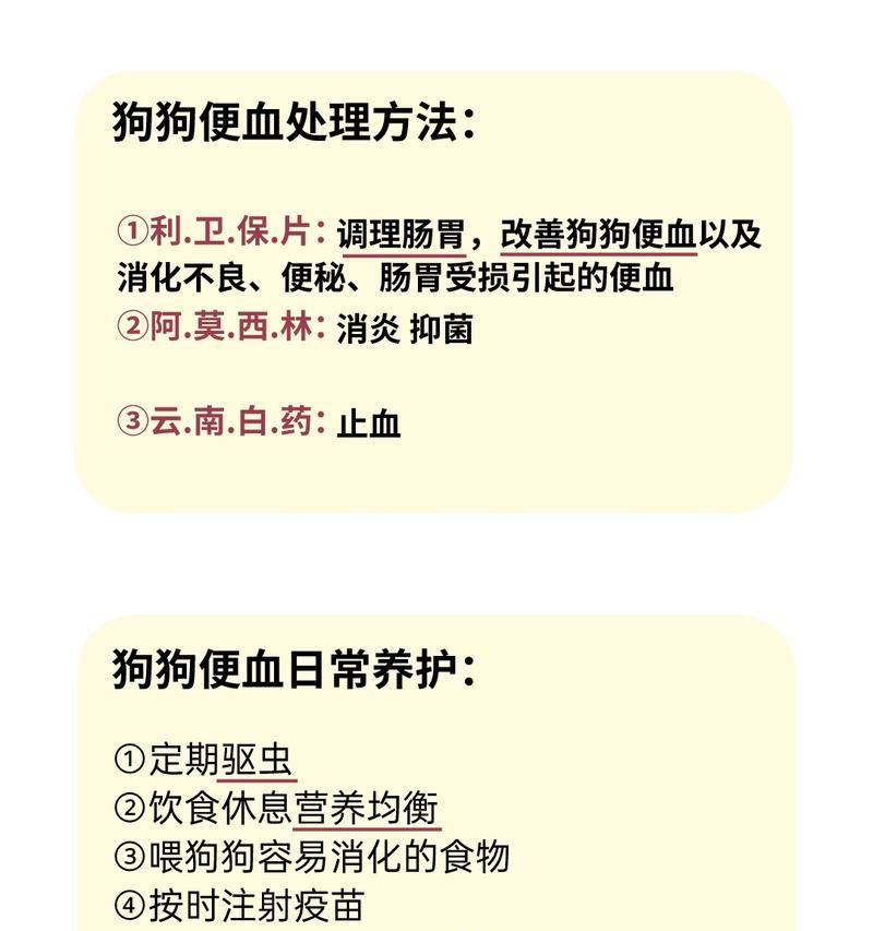 小狗拉血急救药物指南（了解小狗拉血原因及正确应对方法，保护宠物健康）