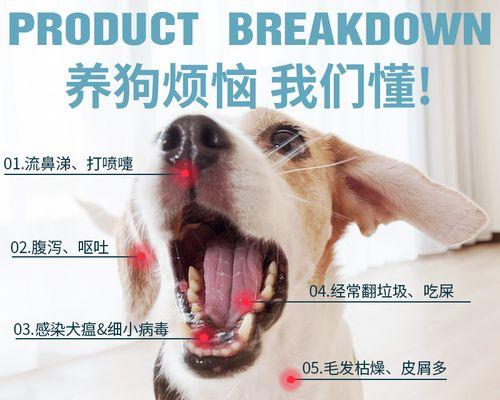 犬瘟流清鼻涕的治疗药物（探讨有效治疗犬瘟流清鼻涕的药物及注意事项）