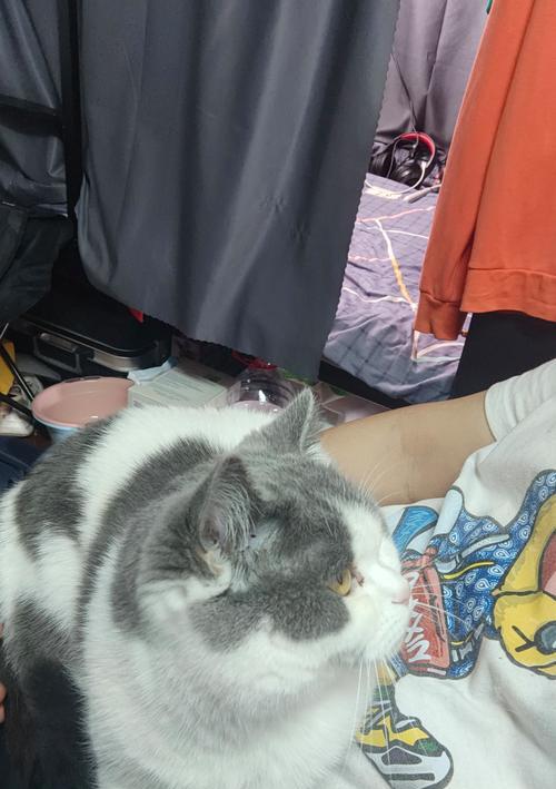 猫疥螨引发的症状及治疗方法（探究猫疥螨带来的健康问题和解决方案）