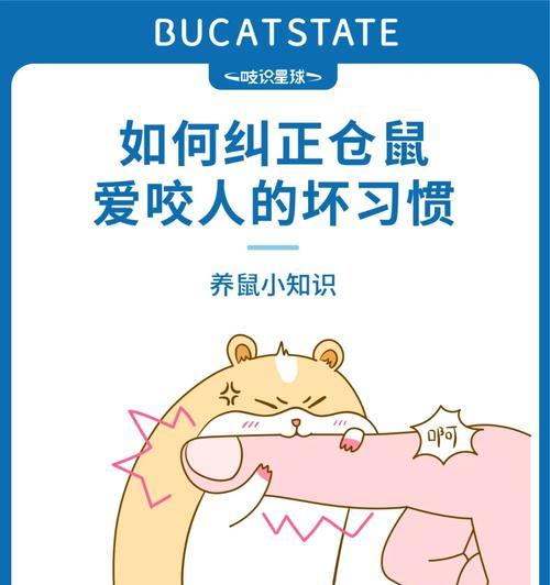 以鼠咬人衣的不吉征兆（衣被咬究竟暗示了什么？）