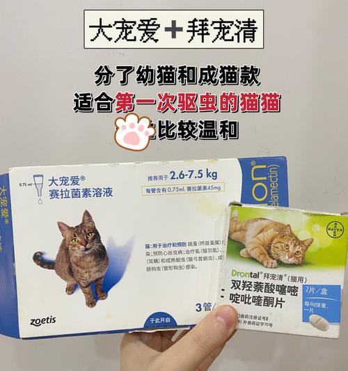 治疗猫咪绦虫的药物选择（了解猫咪绦虫问题的症状与预防措施）