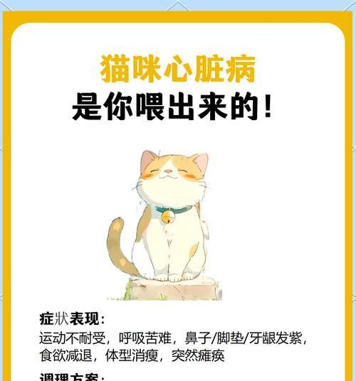 猫咪常见疾病及其症状（了解猫咪疾病的常见症状，及时保护我们的爱宠）