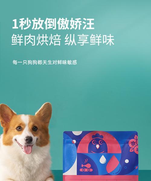 如何选择适合泰迪犬的国产狗粮（解析泰迪犬的饮食需求及推荐的国产狗粮品牌）