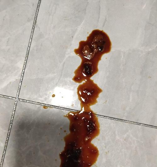 细小病毒的前兆（掌握关键信息，提前预防细小病毒）