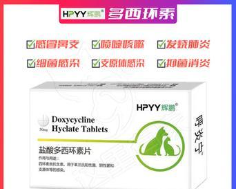 狗感冒药（保护你的毛茸伙伴免受寒冷侵袭）