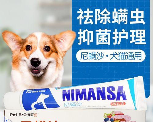 护理犬（让犬类陪伴成为一种治疗和康复方式）