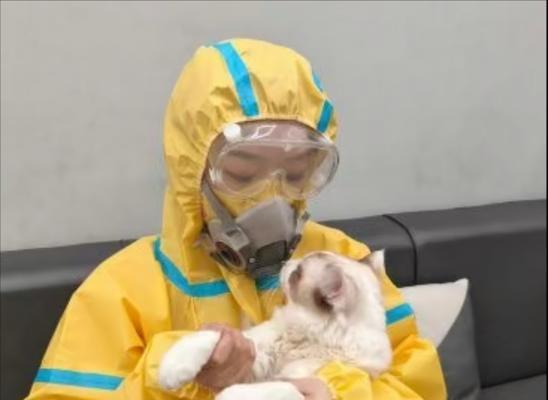 猫的过敏反应及预防措施（探索猫对人体过敏的原因和解决方法）