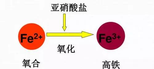 犬贫血的原因及预防措施（探究犬贫血的常见原因以及如何预防）