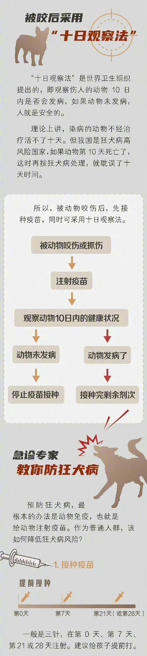 狗得了狂犬病为何不会死？（探究狗患狂犬病后存活的原因）