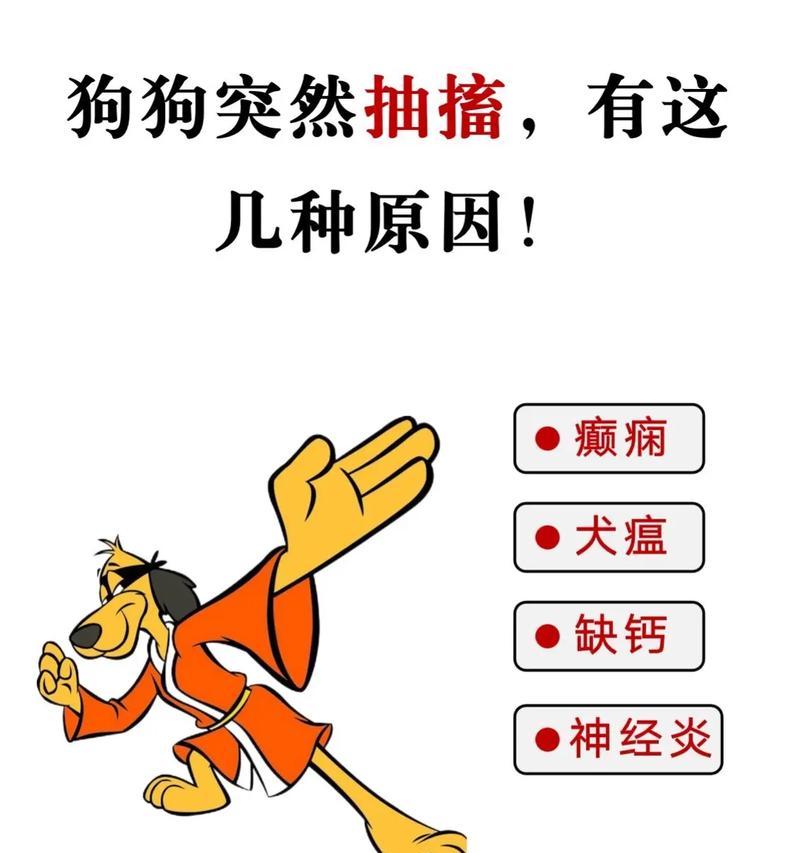 狗狗抽筋的原因及治疗方法（探究狗狗抽筋的病因和有效治疗手段，保护宠物健康）