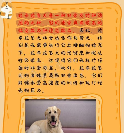 德牧警犬的优势和应用（探秘德牧为什么成为警犬的首选）