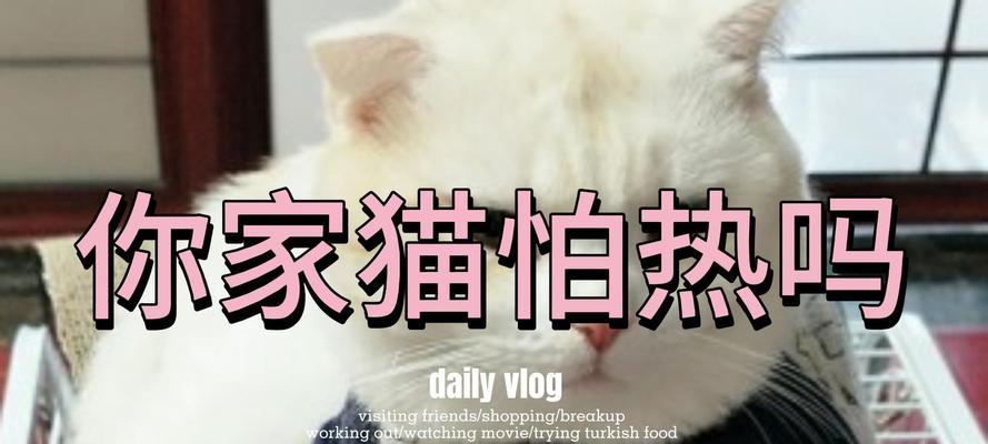 猫为什么喜欢待在热？（探索猫咪热爱温暖环境的原因）