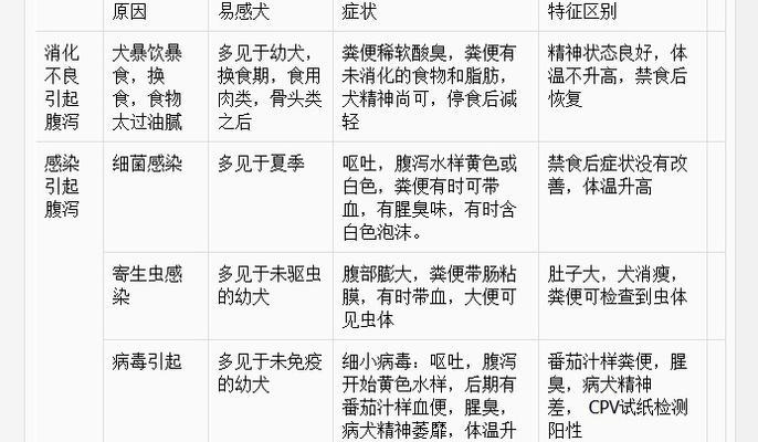 小狗大便稀和呕吐的处理方法（解决小狗消化问题的关键）