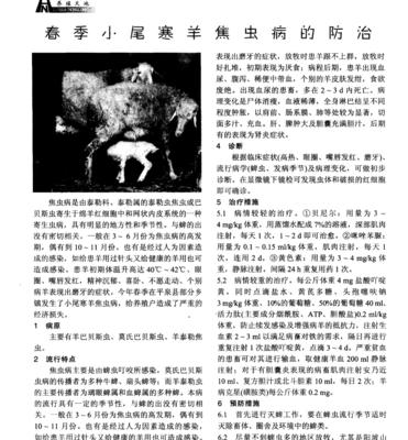 焦虫病防治之道——探索有效药物预防策略（挖掘天然植物成分的潜力）