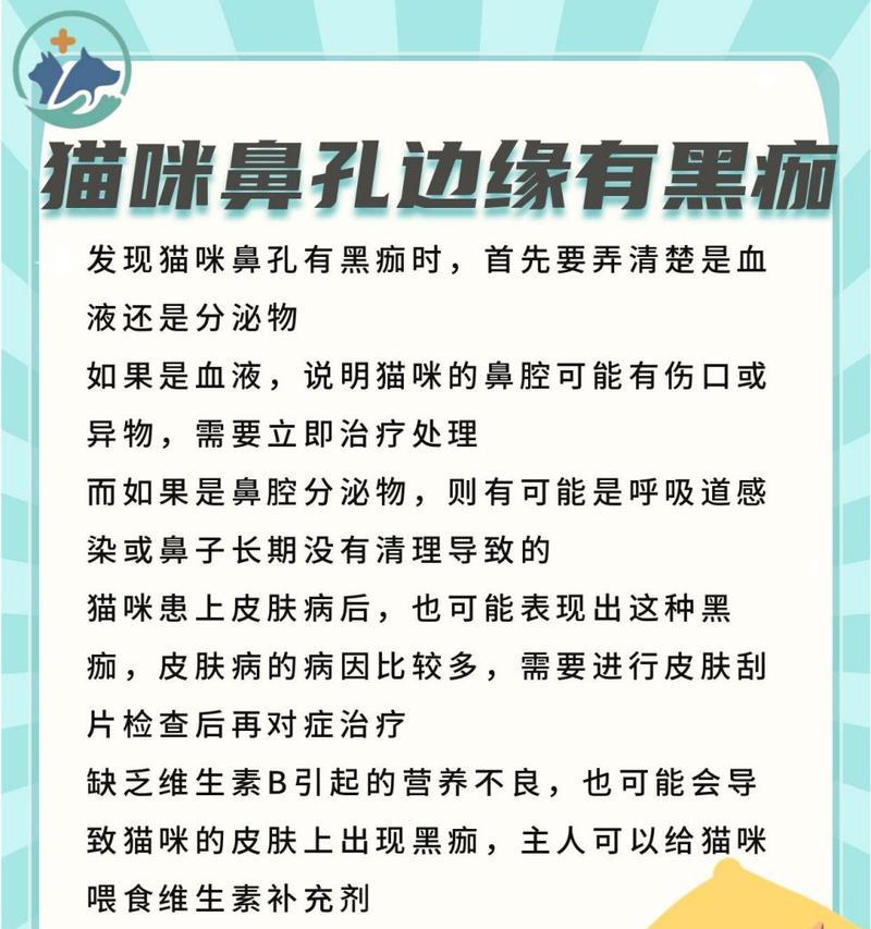 探究猫鼻头黑黑的原因（揭秘猫咪鼻头上的神秘黑色物质）