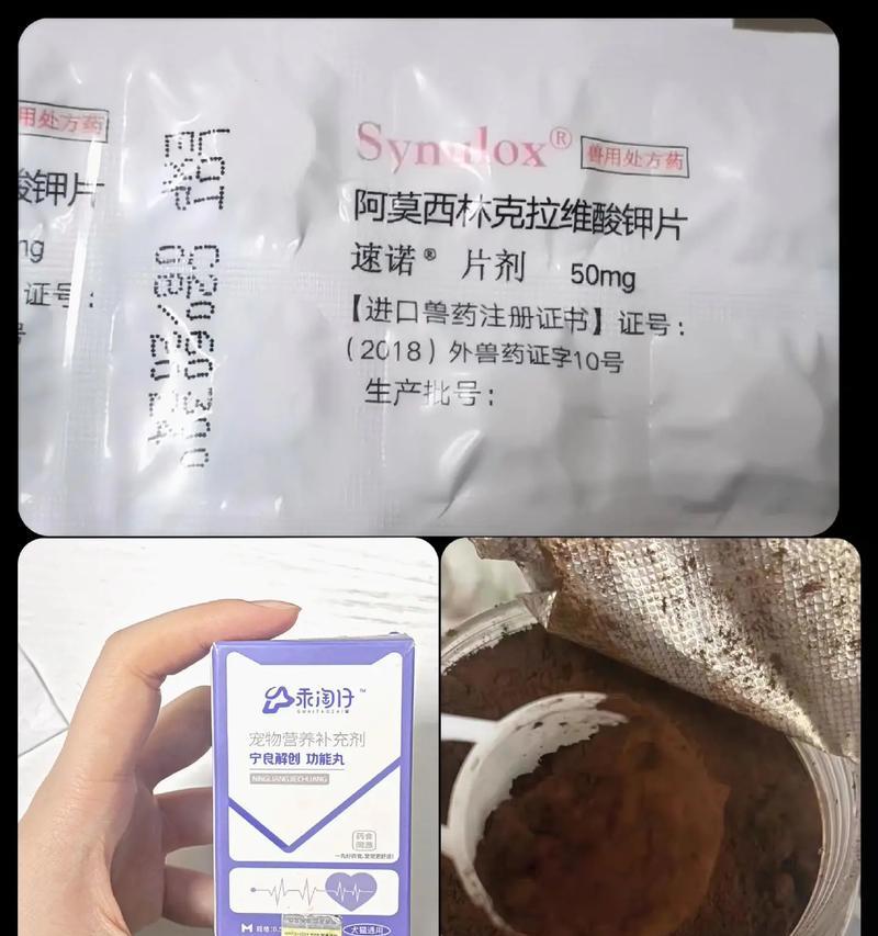 狗狗拉稀有什么药最好（解决狗狗拉稀问题，选择合适的药物很重要）