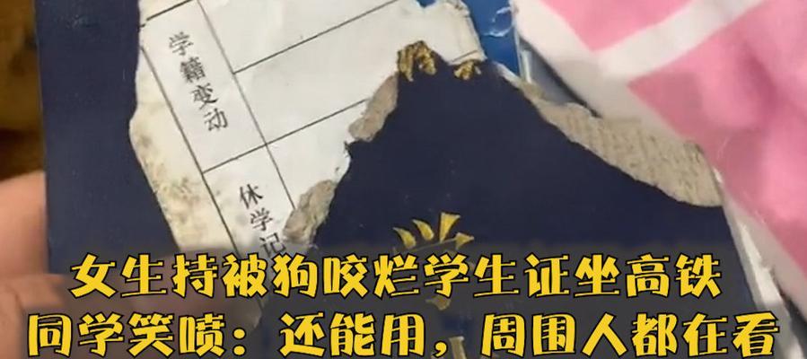 高铁与狗的不相容性（探究高铁为何不能携带宠物狗）
