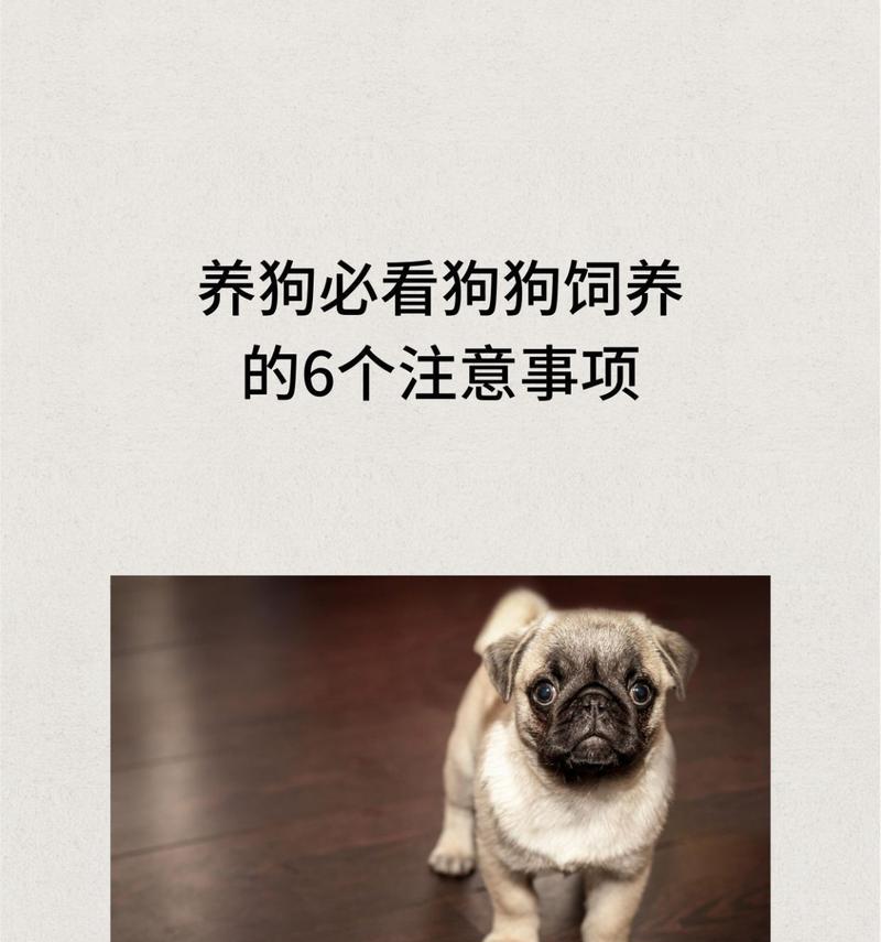 狗狗第二年的重要疫苗及其保健（提前了解并保护你的狗狗）