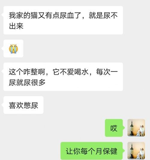 小心！以猫结石，这些食物不能给它吃（保护你的猫咪，避免结石带来的痛苦）