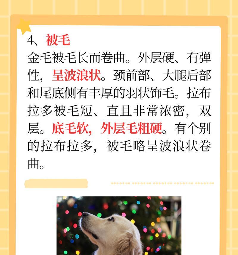 金毛的毛色好，吃什么食物最重要？（探索金毛的理想食物组合，保持健康毛色）
