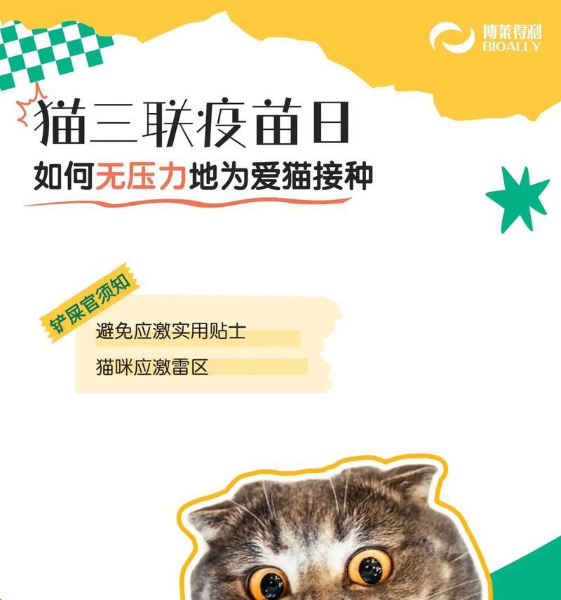 猫三联疫苗的重要性与作用（保护宠物猫免受常见疾病侵袭）