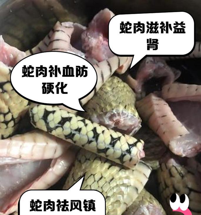 蛇的食物对其生长的影响（揭秘蛇类饮食习性与生长发育的关系）