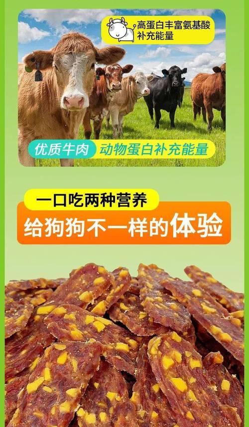 边牧训练饮食指南（为你的边牧提供适当的饮食以保持健康）