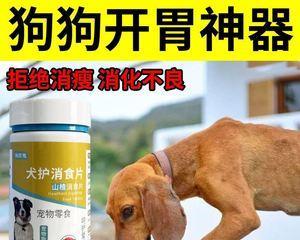 小狗狗癫痫病药物治疗指南（探索有效药物方案，关注爱宠健康）