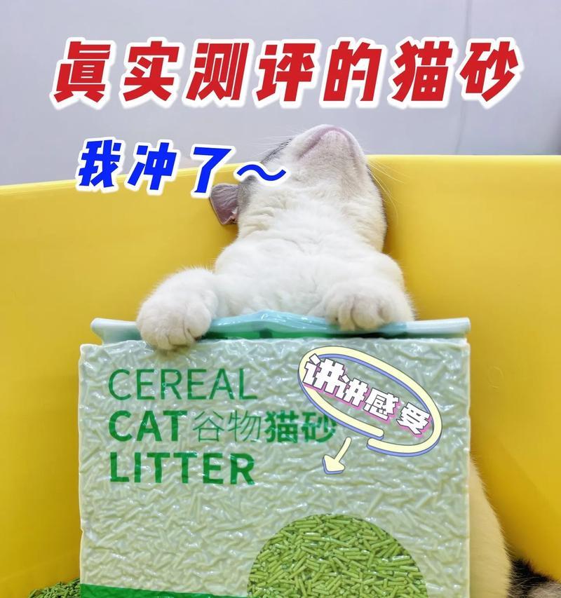 如何选择高性价比的猫砂？（关注价格与质量，为爱猫选择最好的！）