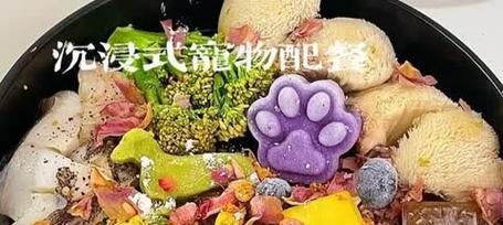 金毛犬的健康饮食之道（揭秘补身体的金毛犬美食）