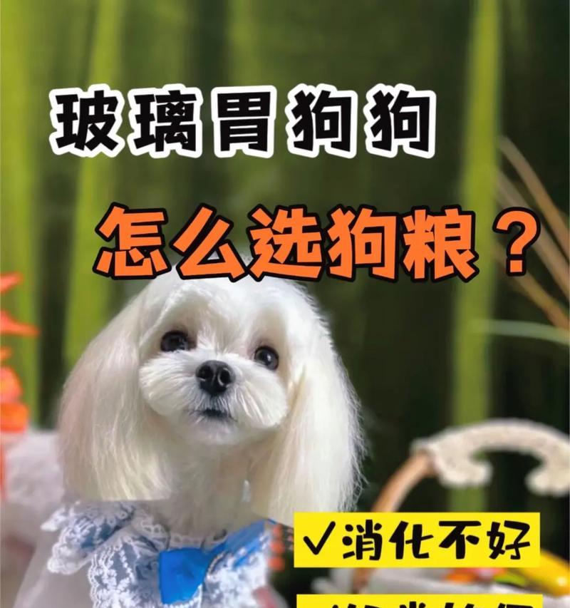 宠物狗的饮食禁忌（了解狗狗胃不好的食物，守护宠物健康）
