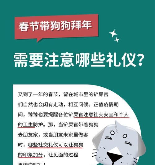 狗狗八岁的注意事项（关爱老年犬健康，让它们晚年幸福美满）