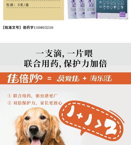 狗狗拉血应该吃什么药？（解决狗狗拉血问题的药物及注意事项）