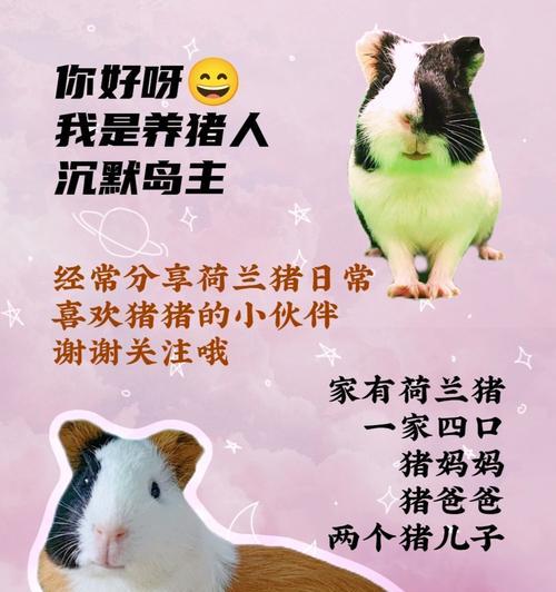 荷兰猪的毛为什么成为主食？（探究荷兰猪吃毛的原因和益处）
