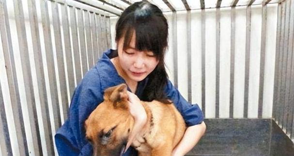 安乐死的必要性（了解安乐死的情况与原因，提高动物福利）
