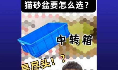小猫为什么总是随地大小便？（探索小猫随地大小便的原因及解决方法）