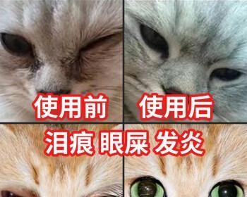 解决泪痕问题的眼药水（有效缓解泪痕困扰，让你的眼睛明亮动人）